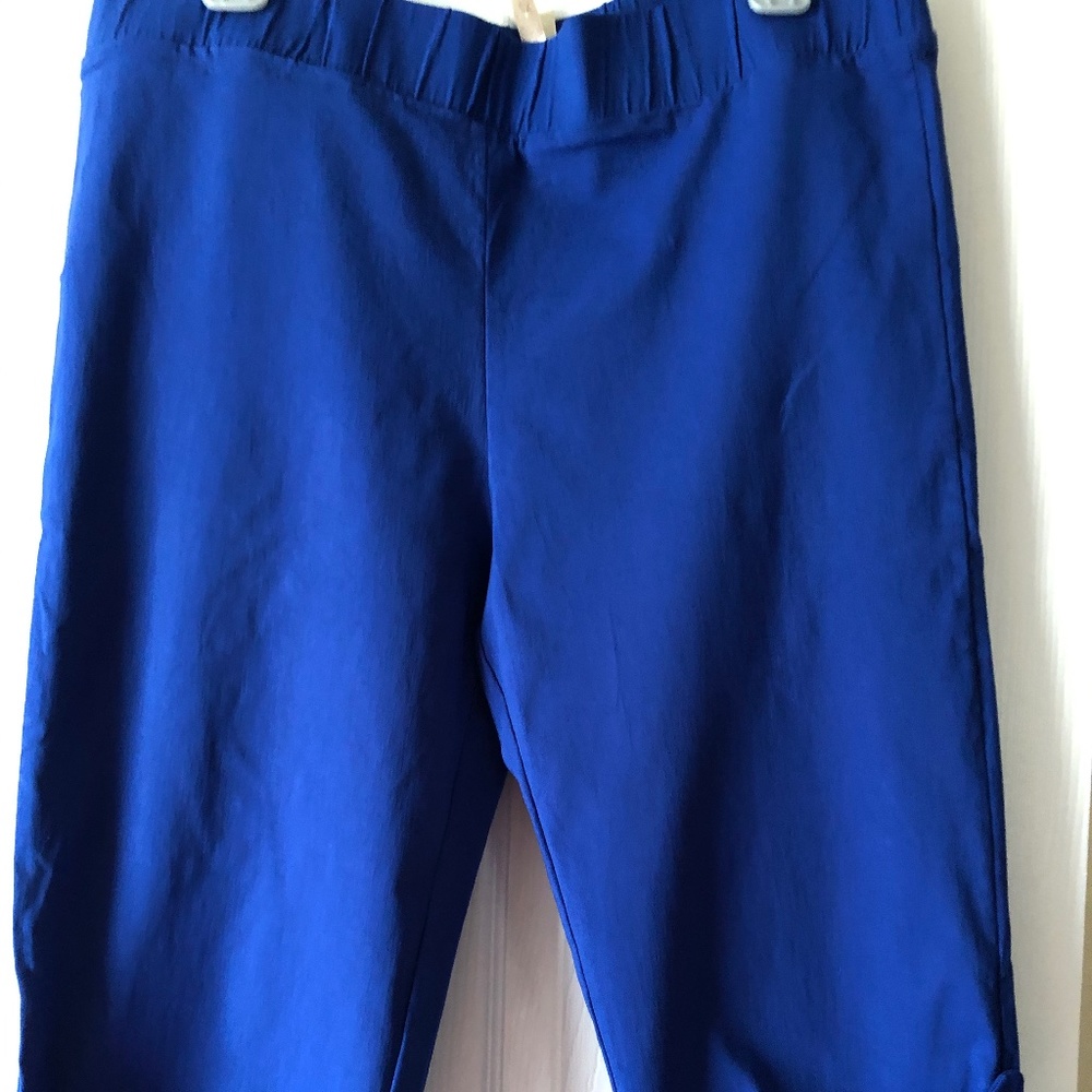 Jessie & J Blue Capri pants - Picture 1 of 4